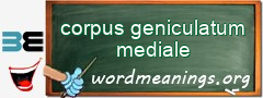 WordMeaning blackboard for corpus geniculatum mediale